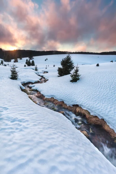 Mountain river on snow meadows at sunset near Todtnauberg — Stock Photo, Image