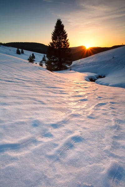 Sonnenuntergang über Bergwiesen im Schnee — Stockfoto