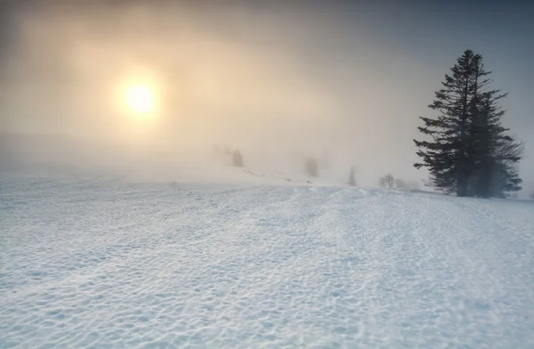 Foggy sunrise over mountain in winter — Stock Photo, Image