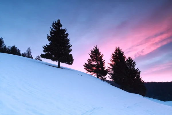 Amanecer púrpura en las montañas de invierno — Foto de Stock