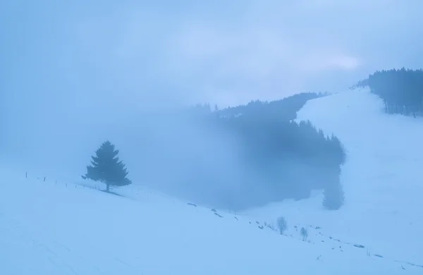 Mglisty poranek w snowy gór — Zdjęcie stockowe