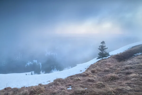 Mglisty wschód słońca na szczycie góry Feldberg — Zdjęcie stockowe