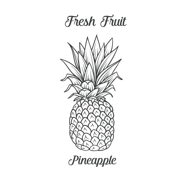 Icona di ananas disegnata mano — Vettoriale Stock