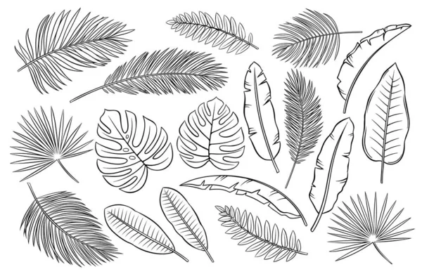 Ensemble de feuilles et plumes tropicales noires et blanches sur fond blanc, illustration vectorielle des contours — Image vectorielle