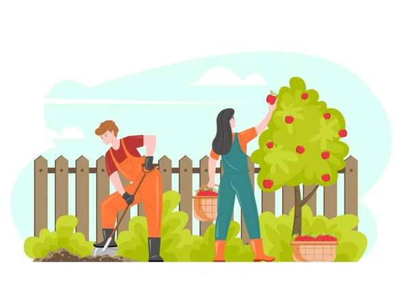 Trädgård människor jordbrukare samla skörd, vektor illustration av tecknade tecken par arbetar i trädgården tillsammans — Stock vektor