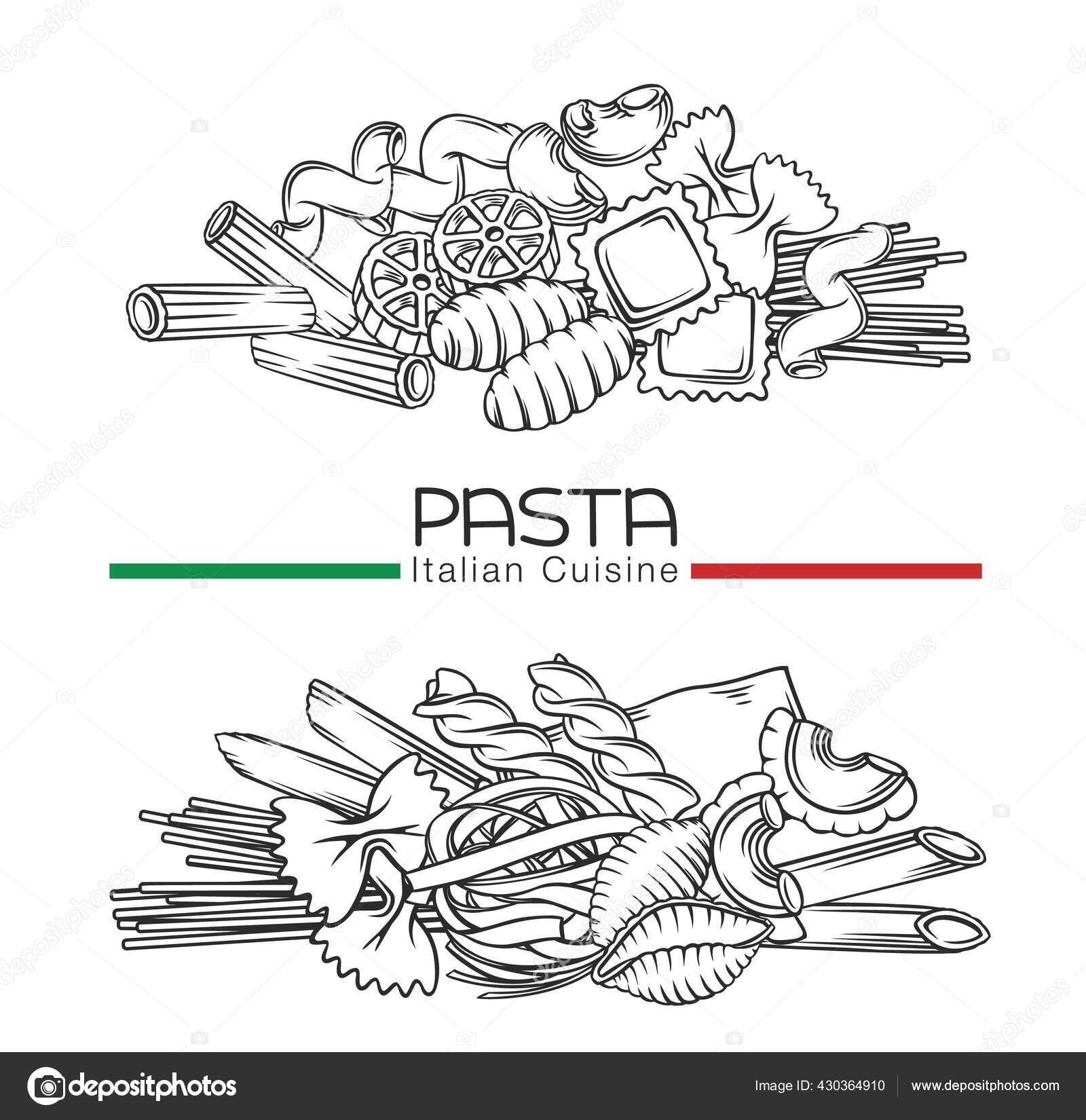 Different types macaroni and italian pasta Vector Image