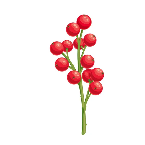 Рождественское украшение падуба с ягодами, векторная реалистичная иллюстрация, элегантный элемент дизайна, изолированный на белом — стоковый вектор