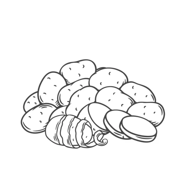 Illustration vectorielle monochrome dessinée à la main de tubercules de pomme de terre dans le style rétro croquis, pour l'annonce de magasin, étiquette de marché — Image vectorielle