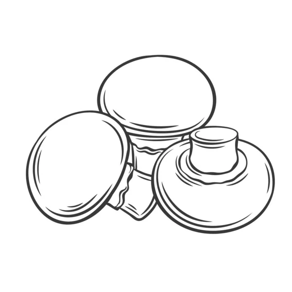 Champignon champignon schets monochrome illustratie — Stockvector