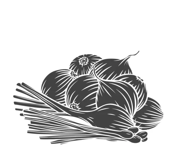 Uienbollen, scallion, prei outline met de hand gegraveerd monochrome vector geïsoleerde illustratie in retro schets stijl — Stockvector