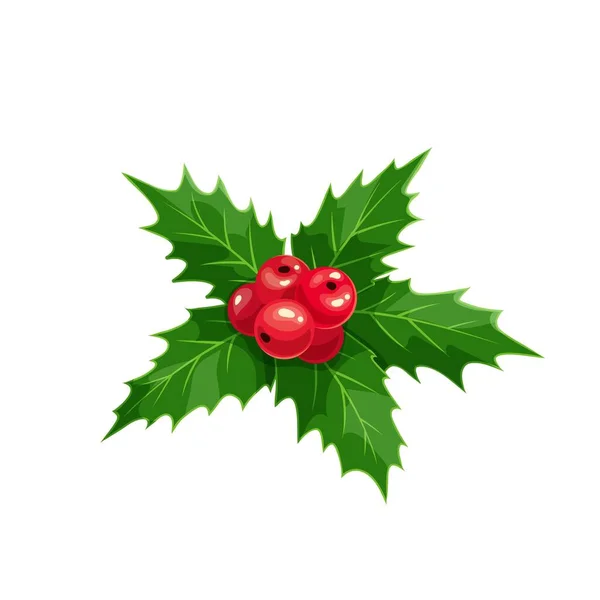 Weihnachts-Ilex mit roten Beeren — Stockvektor