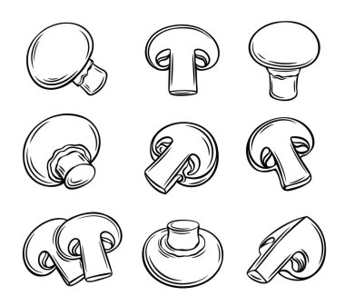 Taslak şampiyon mantarları