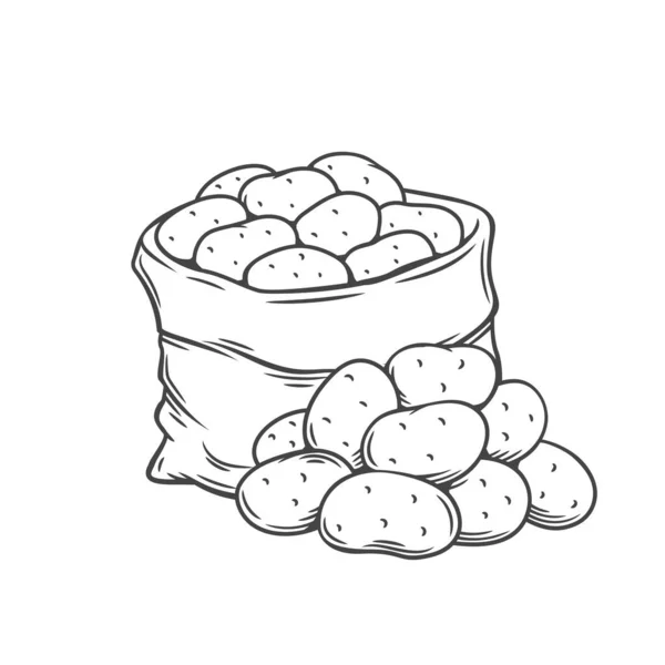 Zarys bulw ziemniaka ręcznie rysowany monochromatyczny — Wektor stockowy