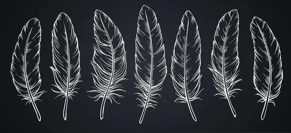 黑板上的素描羽毛 — 图库矢量图片