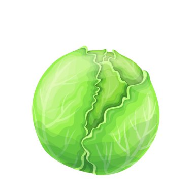 Lahana sebze simgesi.