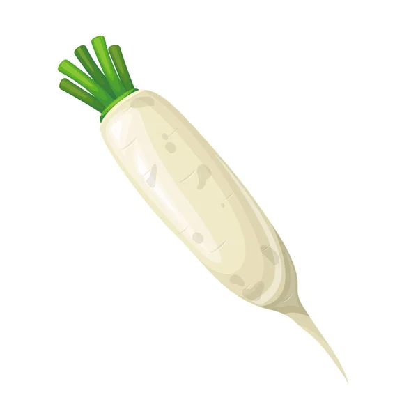 Daikon sebze simgesi — Stok Vektör