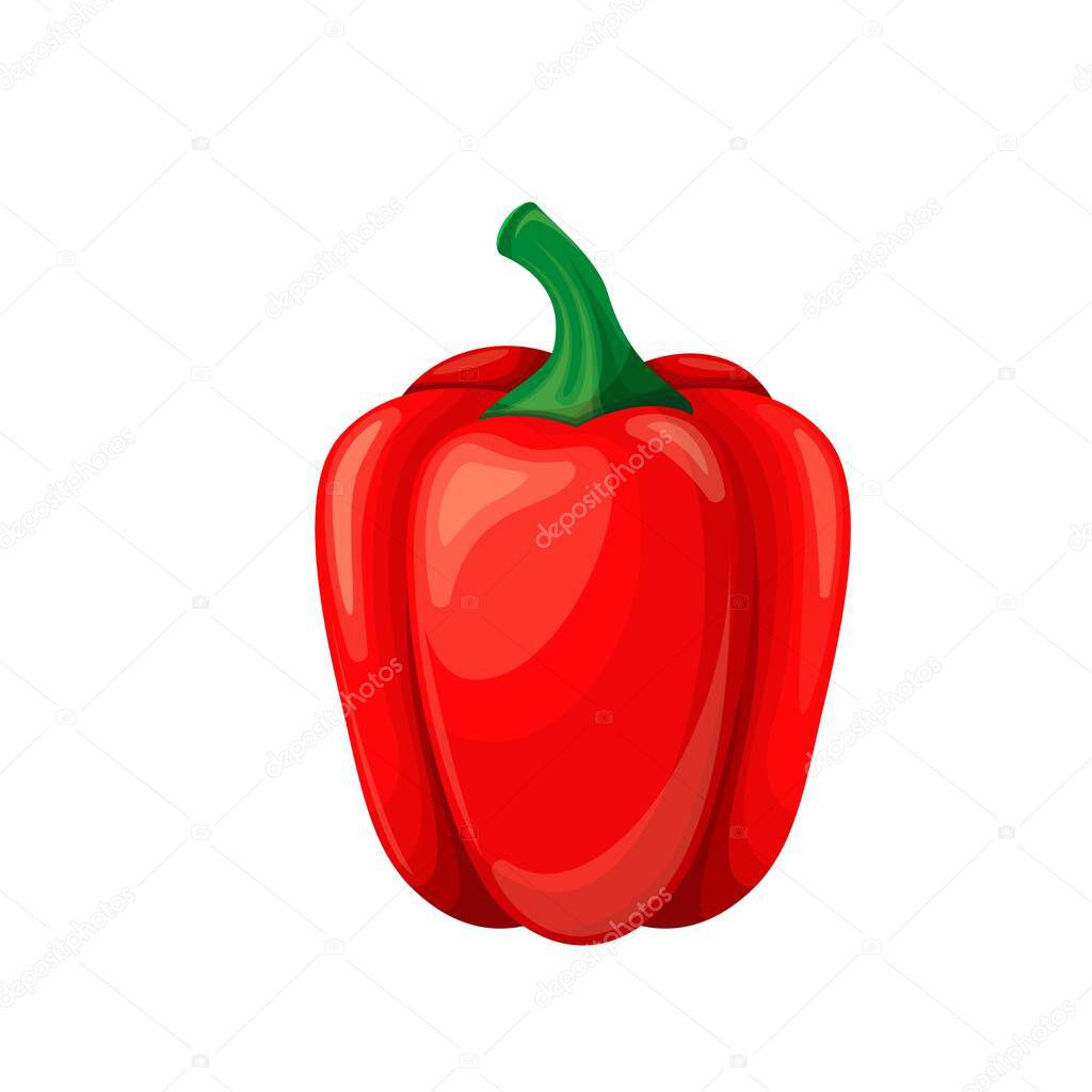 Red pepper icon