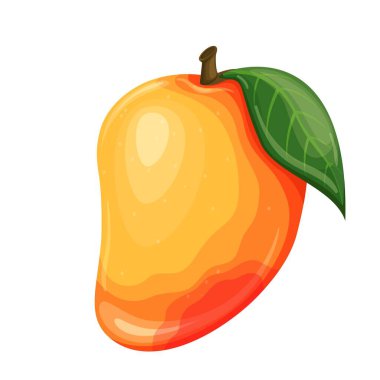 Mango meyve illüstrasyonu