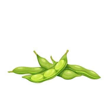 Soya fasulyesi, edamame fasulyesi.