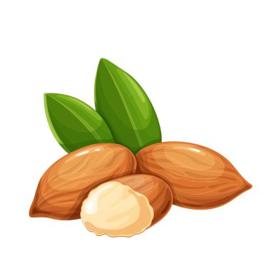 Yapraklı badem fıstığı.