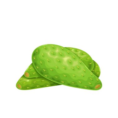 Green cactus leaf nopales icon clipart