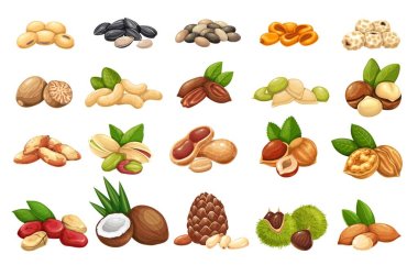 Nuts, seeds and grains icons set clipart