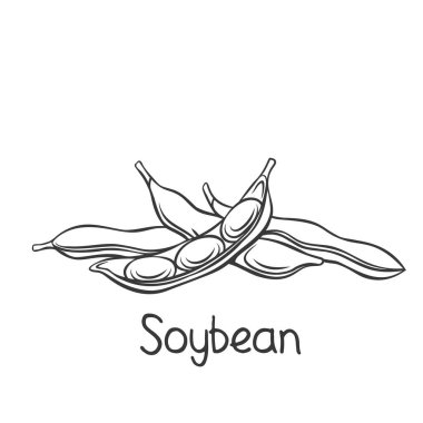 Soya fasulyesi kabukları, edamame fasulyesi ana hatları simgesi