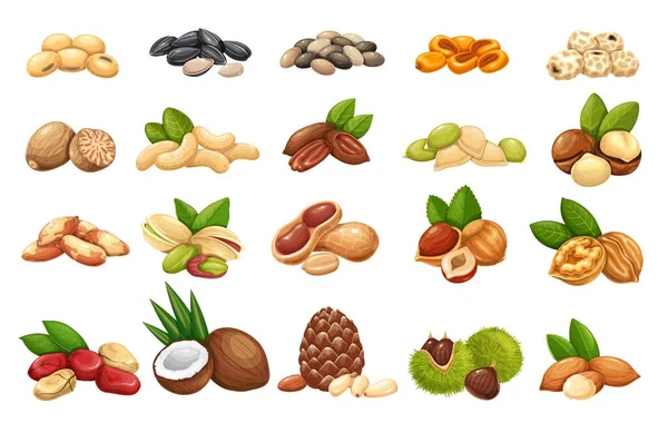 Conjunto de iconos de frutos secos, semillas y granos — Vector de stock