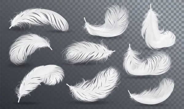 Falling white fluffy twirled feather set — Stock Vector