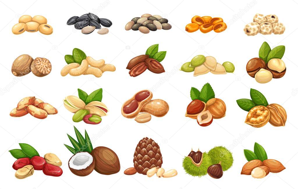 Nuts, seeds and grains icons set