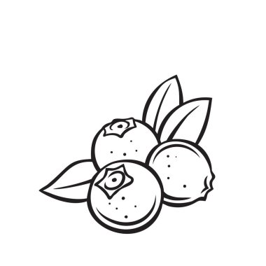 Yaban mersini ana hatları simgesi