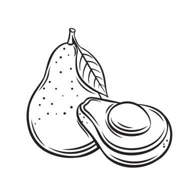 Avokado meyve taslak simgesi