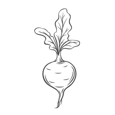 Pancar sebze ana hatları simgesi