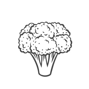 Brokoli sebze ana hatları simgesi