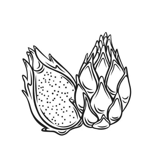 Icono de contorno de frutos de pitaya rojos enteros y medio — Archivo Imágenes Vectoriales