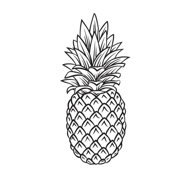 Ananas tropisch fruit omtrek icoon — Stockvector