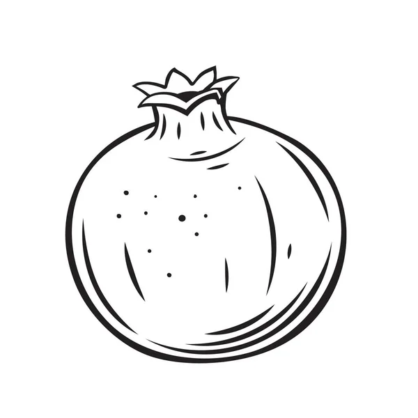 Icono de esquema de fruta de granada — Vector de stock