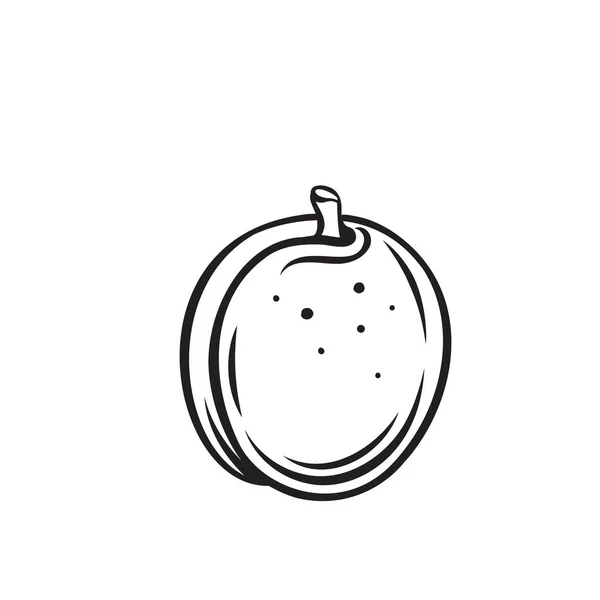 Icono de contorno de fruta de albaricoque — Archivo Imágenes Vectoriales