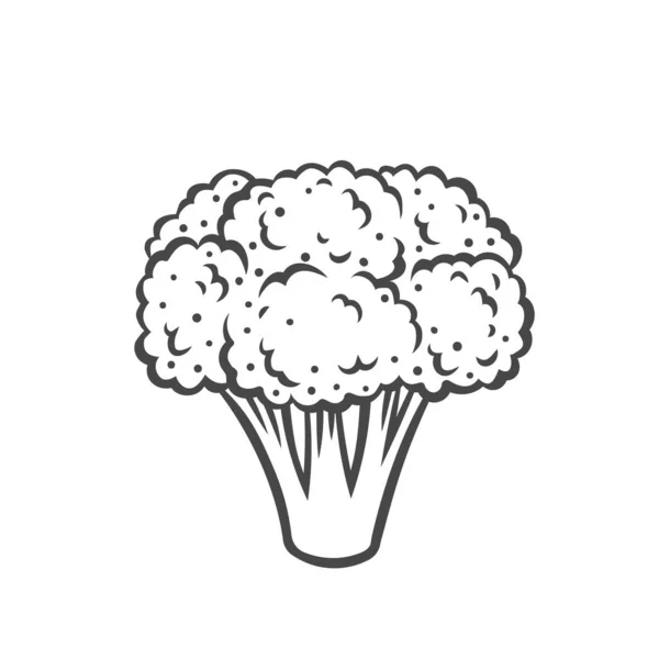 Brocoli légume icône contour — Image vectorielle