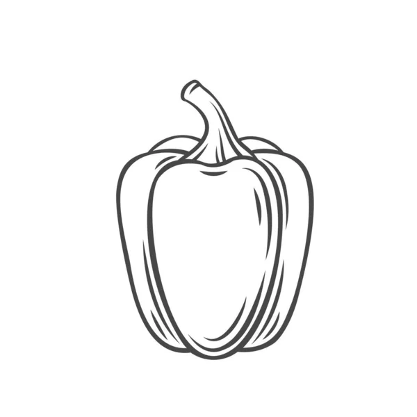 Icono de contorno de verduras de pimienta — Vector de stock