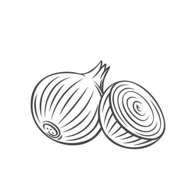 Onion outline icon
