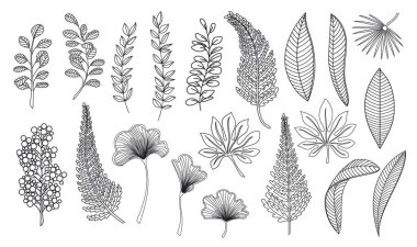 Line art tropical leaves