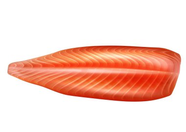 Raw salmon fish peeled fillet realistic isolated illustration.