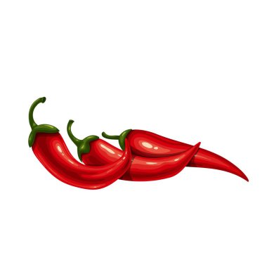 Chili pepper, paprika vector illustration.