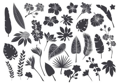 Silhouettes tropical leaves and flowers
