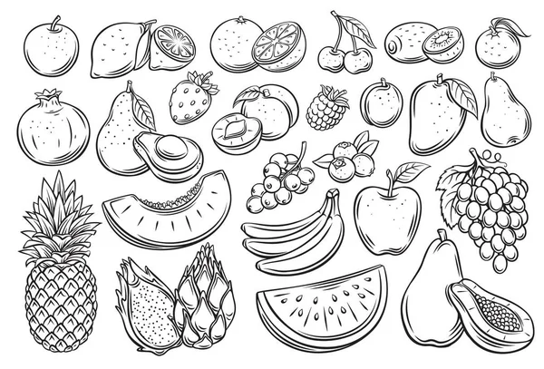 Conjunto de iconos de contorno de frutas y bayas — Vector de stock