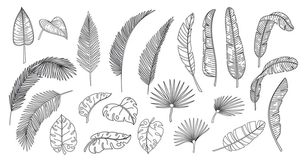 Line art tropical leaves — Stok Vektör