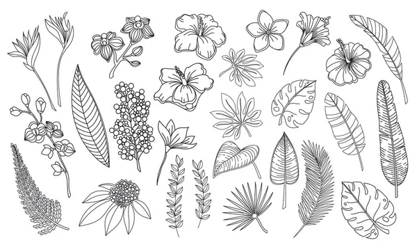 Line art tropical leaves and flowers — Stok Vektör