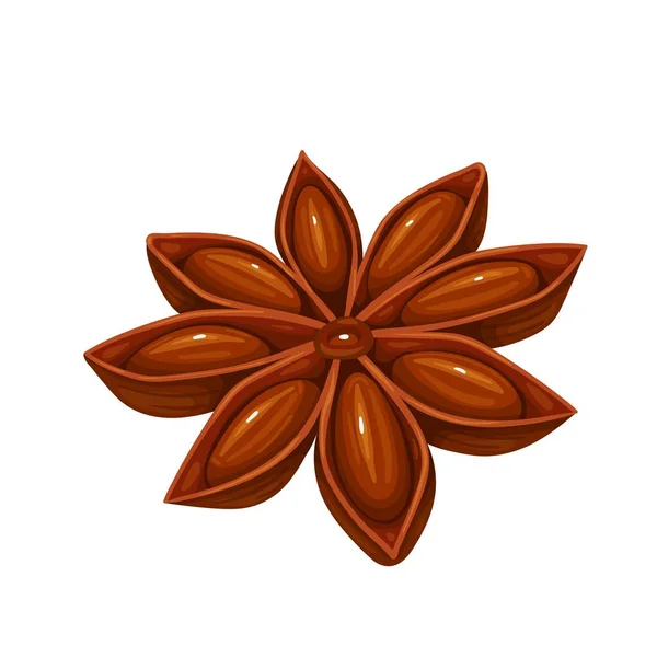 Illustration vectorielle étoile d'anis. — Image vectorielle