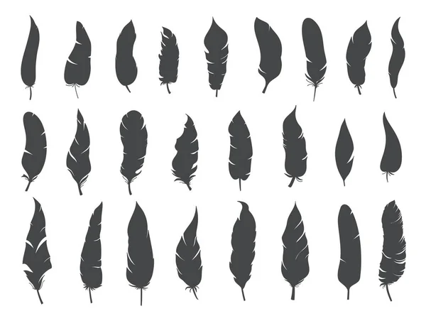 Silhouettes Rustic Ethnic feathers — Stock Vector